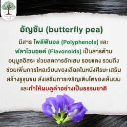 Is butterfly pea good for hair?