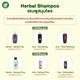 ผลิตภัณฑ์กลุ่มแชมพู Herbal Shampoo Jiva/Revita