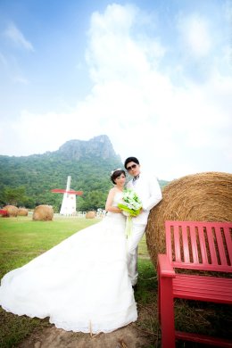 สวีท ชีฟ ฟาร์ม