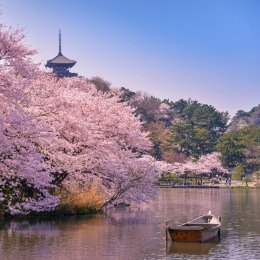 ญี่ปุ่น ใน เดือนพฤษภาคม | JAPAN IN MAY