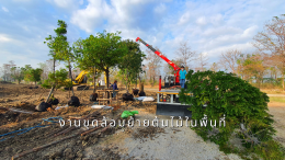 รับปรับปรุงภูมิทัศน์โครงการ