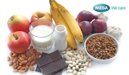 โปรไบโอติก (Probiotic) มิตรแท้ระบบทางเดินอาหาร