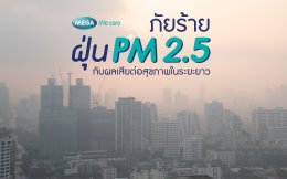 รับมือฝุ่น PM 2.5 ในระยะยาวด้วย Omega-3
