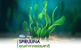 Spirulina-in-the-sea
