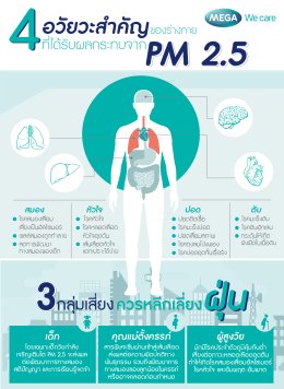 รับมือฝุ่น PM 2.5 ในระยะยาวด้วย Omega-3