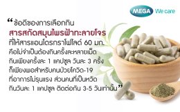 หลักการกินสมุนไพรฟ้าทะลายโจรเพื่อรักษาโรคโควิด-19 และโรคหวัด