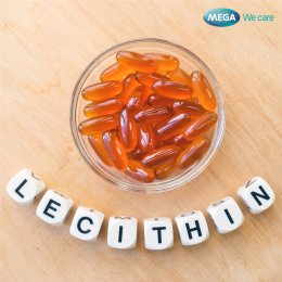 เลซิติน (Lecithin) ประโยชน์เพื่อสุขภาพของคุณ