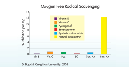 Krill oil, an extract from small shrimps with amazing benefits.