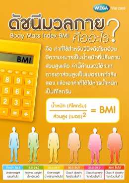 BMI คือ คำนวน ค่าดัชนีมวลกาย ลดน้ำหนัก