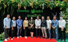 CANNALAND โรงแรม 15 ชั้น