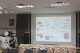การประชุมเชิงปฏิบัติการ “รูปแบบแนะแนวทางขับเคลื่อนวิทยาลัยอาชีวะปลอดบุหรี่”   16-18 มีนาคม 2566 ศูนย์รวมตะวันและเขื่อนท่าทุ่งนา จังหวัดกาญจนบุรี