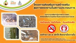 สิ่งแวดล้อมปลอดบุหรี่ สร้างคุณค่าอย่างไร
