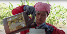 Cassava Quick คืออะไร