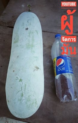"ไม่มีการลงทุนใดจะคุ้มค่าไปกว่า...การลงทุนกับ "ตัวเราเอง" ของจริงดูไม่ยาก...ถ้าใช้ "สติ" ดูครับพี่น้อง...