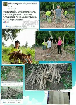 รีวิวผู้ใช้สินค้าผู้จัดการมัน