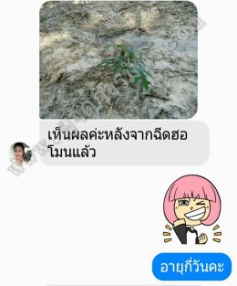 รีวิวผู้ใช้สินค้าผู้จัดการมัน