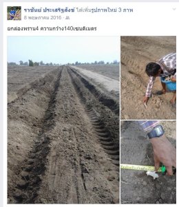 รีวิวผู้ใช้สินค้าผู้จัดการมัน