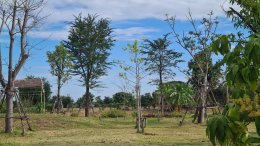 สถาบันวิจัยและพัฒนานำทีมหอมขจรฟาร์มเข้าร่วมจัดกิจกรรมกับโรงเรียนสาธิตละอออุทิศ