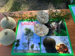 สถาบันวิจัยและพัฒนานำทีมหอมขจรฟาร์มเข้าร่วมจัดกิจกรรมกับโรงเรียนสาธิตละอออุทิศ