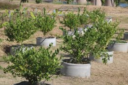 สถาบันวิจัยและพัฒนานำทีมหอมขจรฟาร์มเข้าร่วมจัดกิจกรรมกับโรงเรียนสาธิตละอออุทิศ