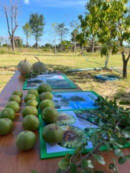 สถาบันวิจัยและพัฒนานำทีมหอมขจรฟาร์มเข้าร่วมจัดกิจกรรมกับโรงเรียนสาธิตละอออุทิศ