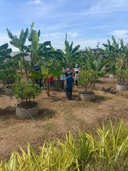สถาบันวิจัยและพัฒนานำทีมหอมขจรฟาร์มเข้าร่วมจัดกิจกรรมกับโรงเรียนสาธิตละอออุทิศ