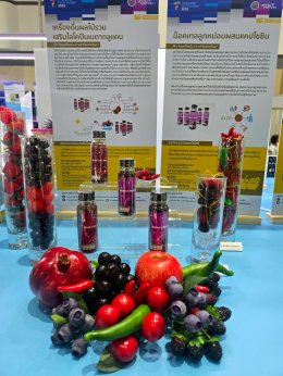 สถาบันวิจัยและพัฒนาร่วมจัดแสดงผลงานวิจัยและนวัตกรรมในกิจกรรม Thailand Tech Show 2025 (TTS2025)