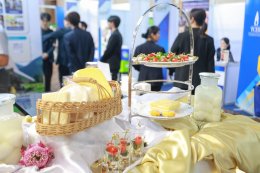 สถาบันวิจัยและพัฒนา มหาวิทยาลัยสวนดุสิต แสดงศักยภาพงานวิจัยและนวัตกรรมขับเคลื่อนเศรษฐกิจ BCG ในงาน Thailand Research Expo 2026