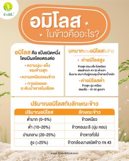 อมิโลสในข้าวคืออะไร ?