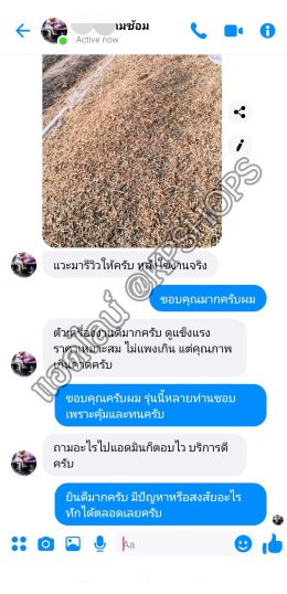 เครื่องสับหญ้า ย่อยกิ่งไม้ อเนกประสงค์ งานละเอียด