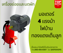 เครื่องป่นผัก ผลไม้ พืชหัวทุกชนิด มอเตอร์ 4 แรงม้า ใช้ไฟบ้าน