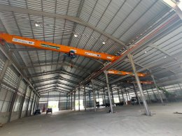 Overhead Crane Single Box Girder 5T 4 Sets