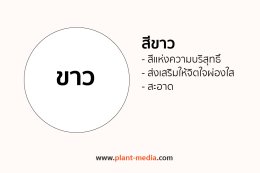 สีขาว_Plant Media