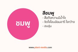 สีชมพู_Plant Media