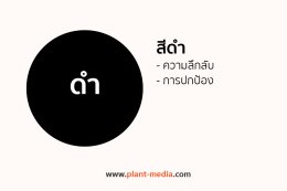 สีดำ_Plant Media