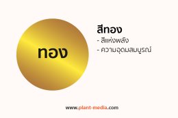 สีทอง_Plant Media