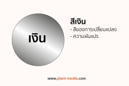 สีเงิน_Plant Media