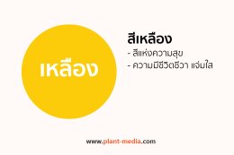 สีเหลือง_Plant Media