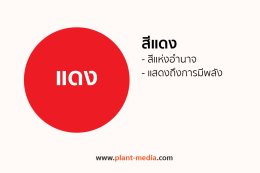 สีแดง_Plant Media