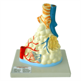 MEDILAB