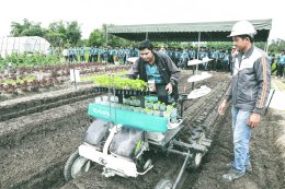 Kubota TRM