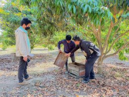 เมื่อวันที่ 25 มกราคม 2566 สหกรณ์การเกษตรท่าบ่อ จำกัดลงพื้นที่ตรวจเยี่ยมและแนะนำสมาชิกสหกรณ์ที่เข้าร่วม“โครงการขับเคลื่อนการประยุกต์ใช้ปรัชญาของเศรษฐกิจพอเพียงในสหกรณ์และกลุ่มเกษตรกร”ปี 2566