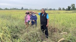 ข่าวประชาสัมพันธ์ สหกรณ์การเกษตรท่าบ่อ จำกัด ประจำปี 2568