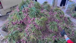 ข่าวประชาสัมพันธ์ สหกรณ์การเกษตรท่าบ่อ จำกัด ประจำปี 2569