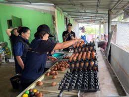 ข่าวประชาสัมพันธ์สหกรณ์การเกษตรท่าบ่อ จำกัด ประจำปี 2569