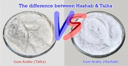 ความแตกต่างระหว่างกัมอารบิก Talha และ Hashab