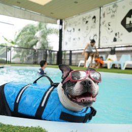 Dog pool & swimming