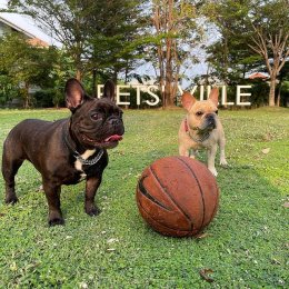 pet's ville park