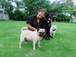 pet's ville park