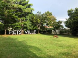pet's ville park